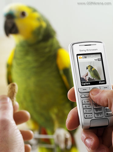 Sony Ericsson K310
